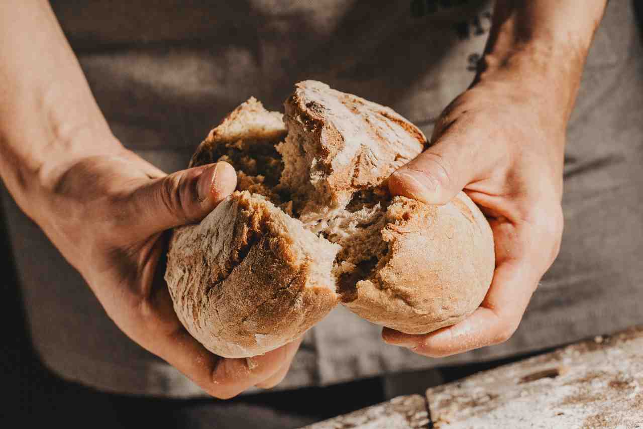 Pane con farina di grilli