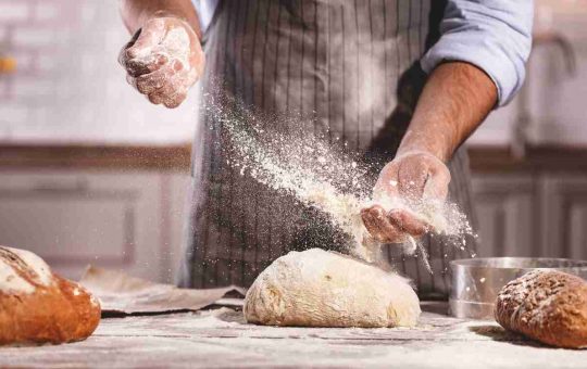 Farina di grilli pane