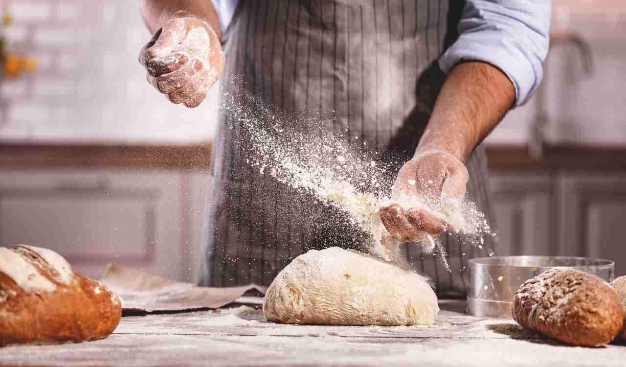 Farina di grilli pane