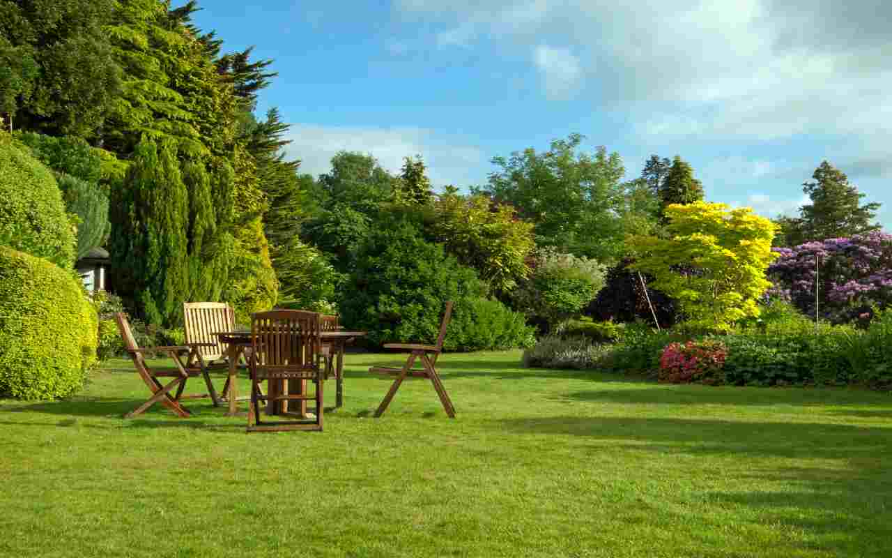 Un modo per far fruttare il giardino