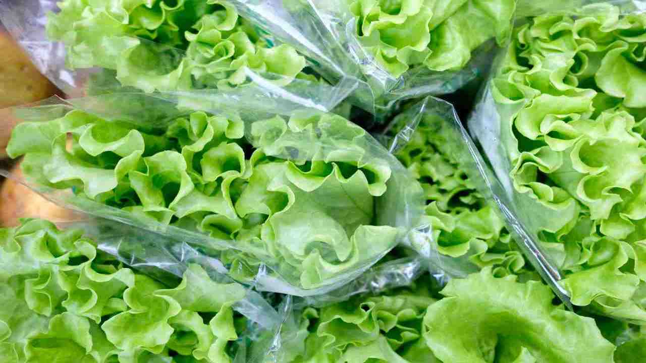 Motivi per cui non comperare insalata in busta