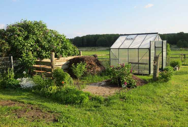 Come avere buona frutta e verdura a portata di mano